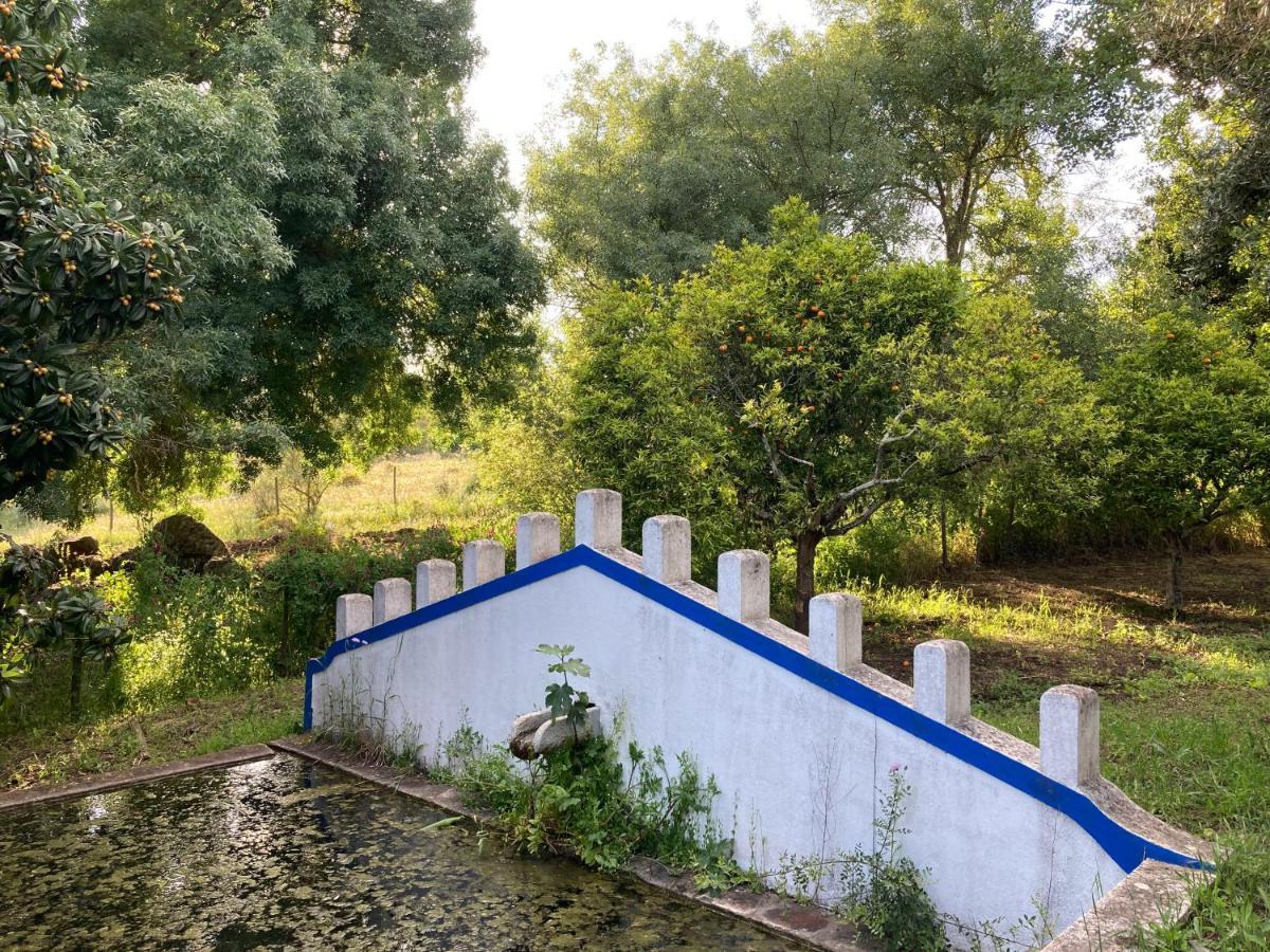 Monte Da Fonte - Piscina, Tenis E Snooker No Alentejo Villa Vila de Frades